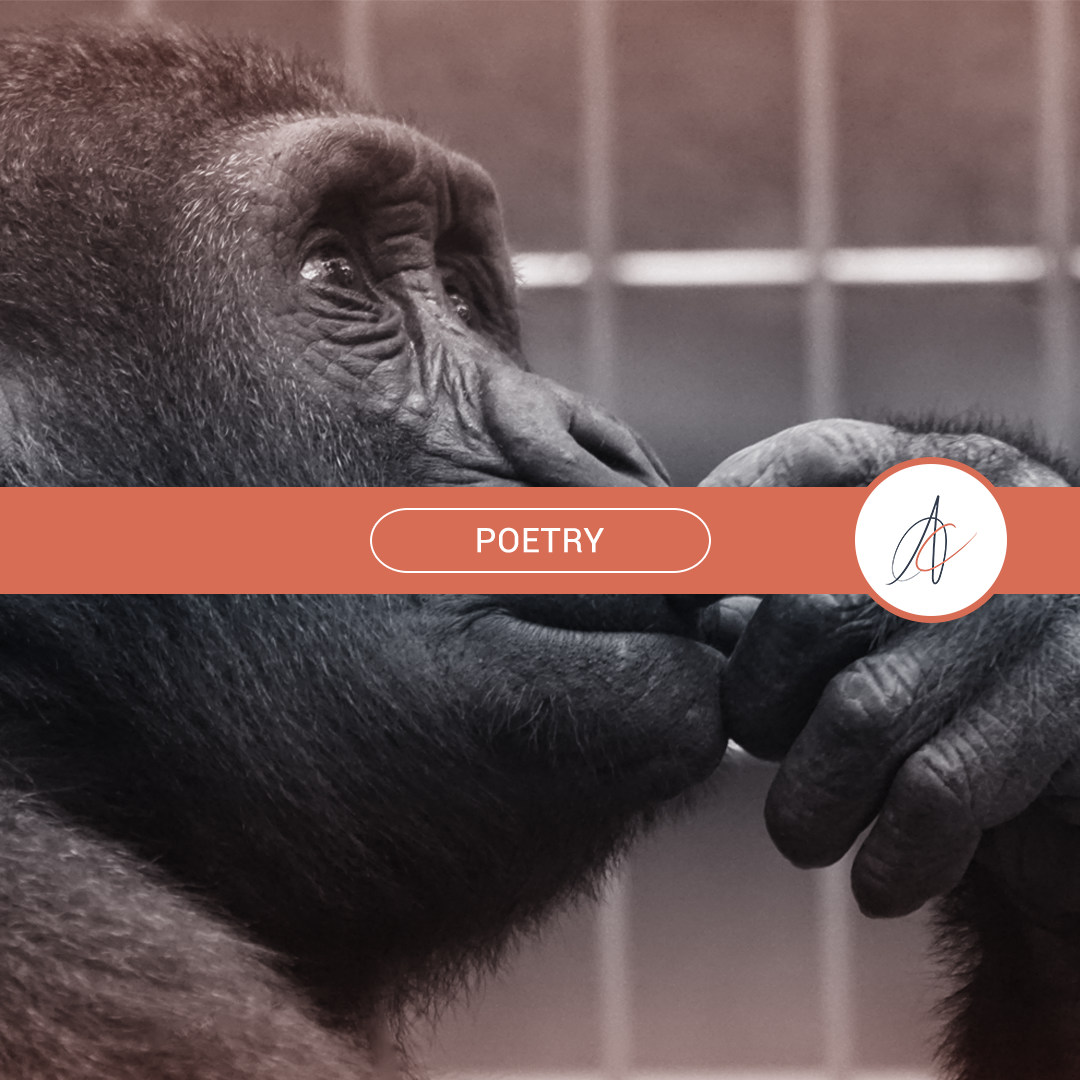 Andreas Christodoulou (aka "andreascy") Poetry